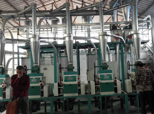 產(chǎn)品名稱：日加工面粉10噸--30噸成套設(shè)備
產(chǎn)品型號：
產(chǎn)品規(guī)格：