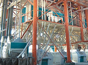 產(chǎn)品名稱：日加工小麥30噸---200噸鋼架式成套設(shè)備
產(chǎn)品型號：
產(chǎn)品規(guī)格：